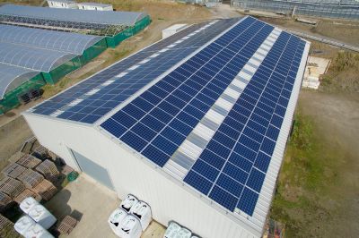 Kernock Park Plants Ltd, Saltash