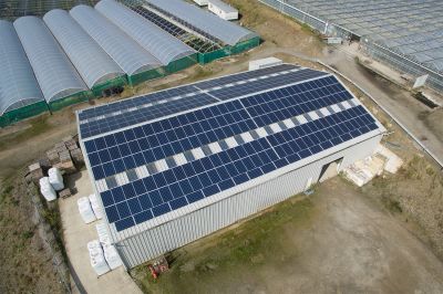 Kernock Park Plants Ltd, Saltash