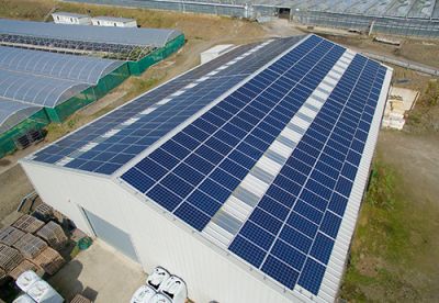 Kernock Park Plants Ltd