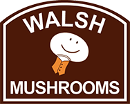 Walsh mushroom group